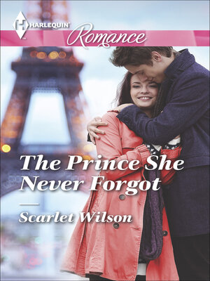 cover image of The Prince She Never Forgot